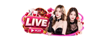 jili66-bet.com live casino
