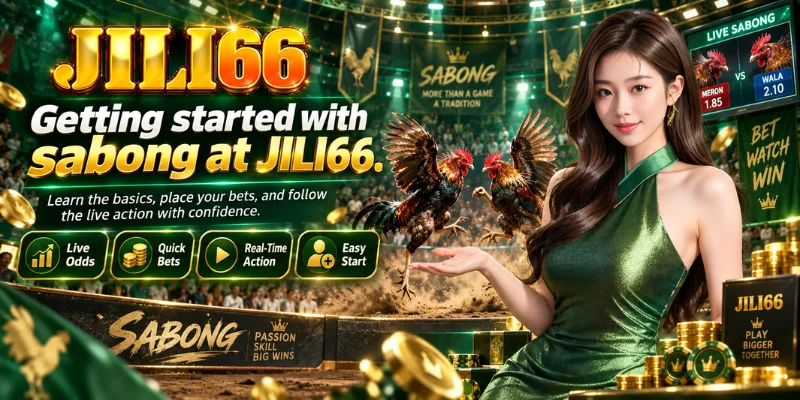 getting started with sabong at jili66